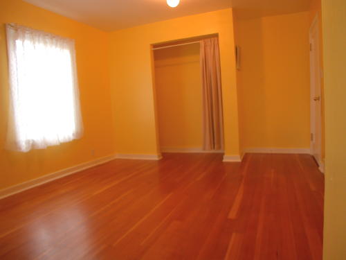 Lower level fireplace